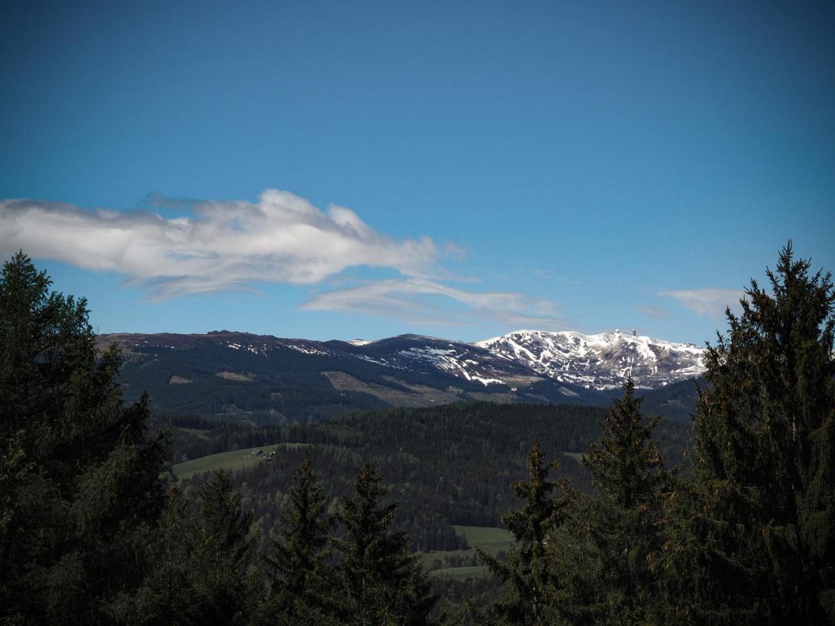 Das Koralpenchalet...Sonne, Wald, Natur! Trahutten ภายนอก รูปภาพ