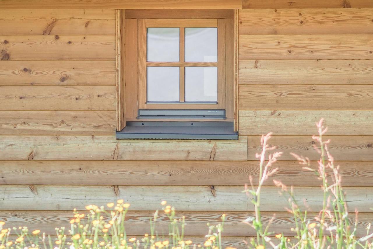Das Koralpenchalet...Sonne, Wald, Natur! Trahutten ภายนอก รูปภาพ