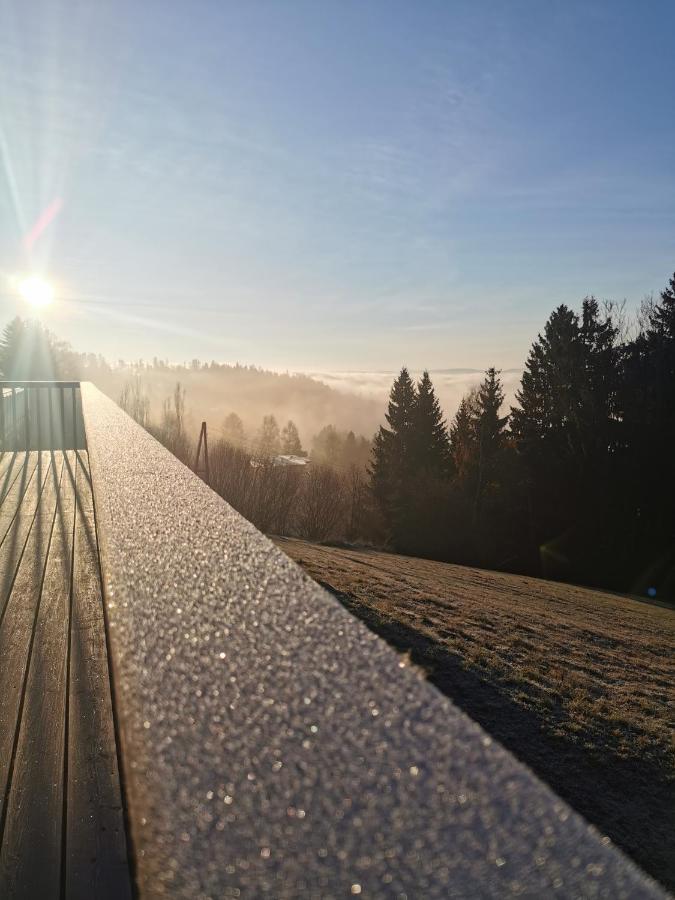 Das Koralpenchalet...Sonne, Wald, Natur! Trahutten ภายนอก รูปภาพ